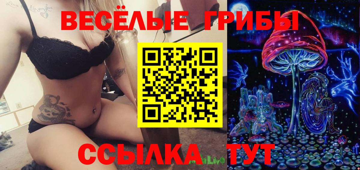 Североморск  Псилоцибиновые грибы прущие грибы  Вход с VPN 