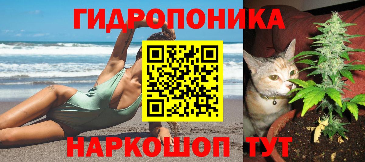 Североморск  Каннабис SATIVA & INDICA  Вход с VPN  Канабис конопля 